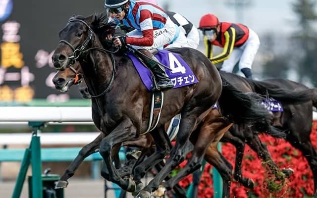 【皐月賞枠順確定】ロブチェンは2枠4番、カヴァレリッツォは1枠1番