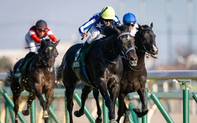 アンカツが苦悩の末に選定した「３歳牡馬番付」　皐月賞＆ダービーは「ハイレベルな大混戦」