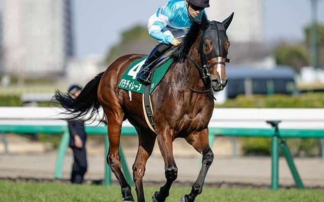 【福島牝馬S出走馬・騎手確定】パラディレーヌ＆丹内祐次騎手、ジョイフルニュース＆大野拓弥騎手など16頭