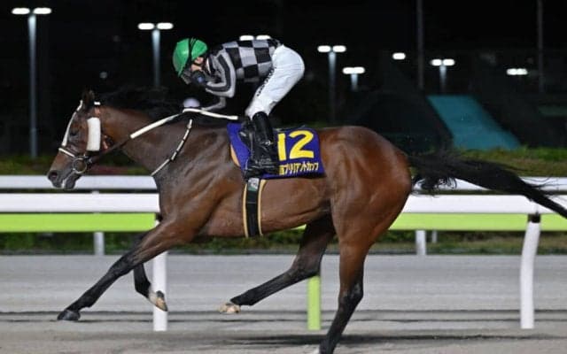 【大井・ブリリアントC】リベイクフルシティが完勝…和田「抜群の手応え」