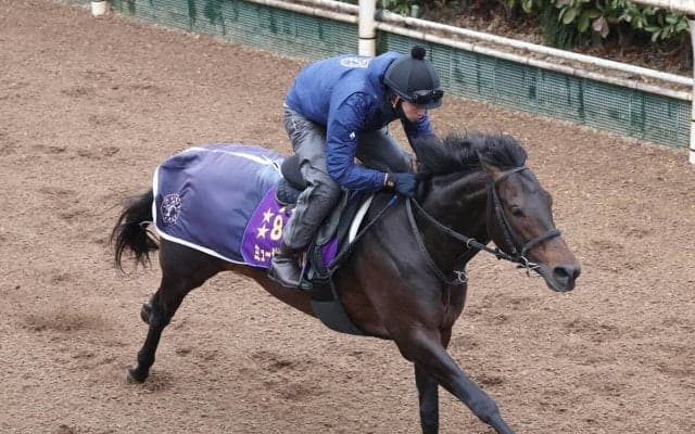【注目馬動向】香港遠征回避のミュージアムマイルは宝塚記念へ　秋春グランプリ連覇狙う