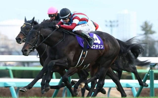 【皐月賞】ロブチェンは2枠4番…レーン騎乗カヴァレリッツォは最内枠へ