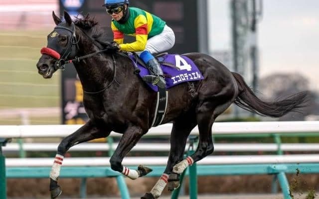【中山GJ予想】上半期の最強ジャンパー決定戦 過酷な4260mを制するのは