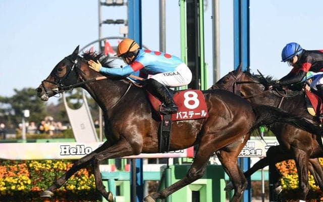 【競馬予想】皐月賞は「中山・芝2000ｍ」での種牡馬の勝率に注目　名馬と血統構成が似た１頭もチャンス十分
