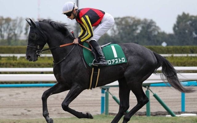 【競馬予想】皐月賞の有望株は弥生賞組にいる　混戦状態で浮上する伏兵探しなら「相手なりに走れる馬」