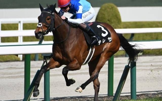 【福島牝馬S予想】意外とタフな福島芝1800m 前走馬体重が小さい馬の取扱いには要注意
