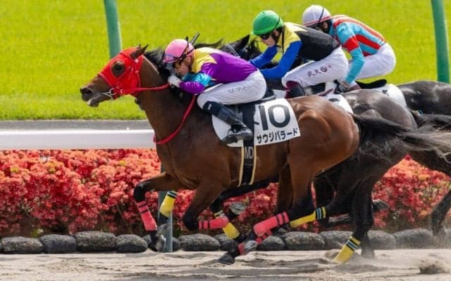 【中山2R】ディー騎乗 サウジバラードが初勝利