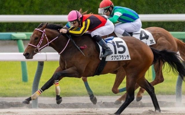 【中山1R】ドレフォン産駒・クアロアランチが人気に応える