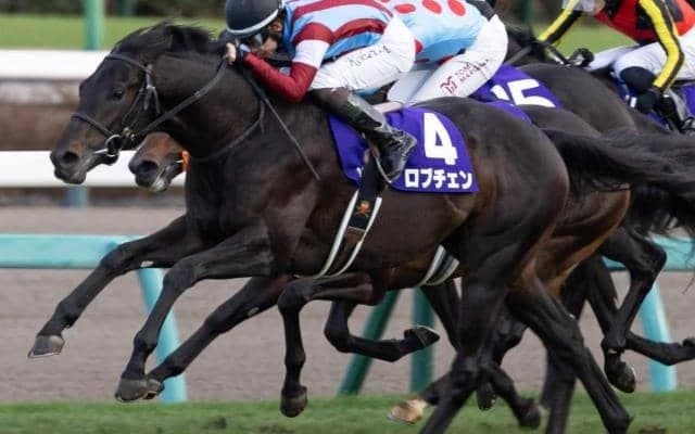 霜降り明星・粗品はロブチェンを信頼 3連単＆3連複で勝負だ