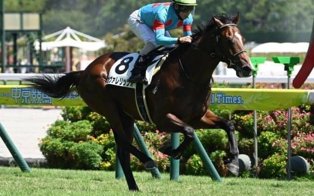 【今日の注目ポイント】クラシック三冠第一弾・皐月賞 福島では福島牝馬S
