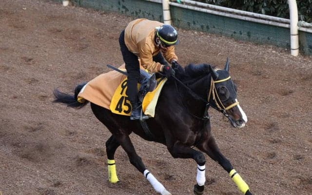 日曜福島競馬場の注目激走馬…福島１１Ｒ福島牝馬ステークス・Ｇ３