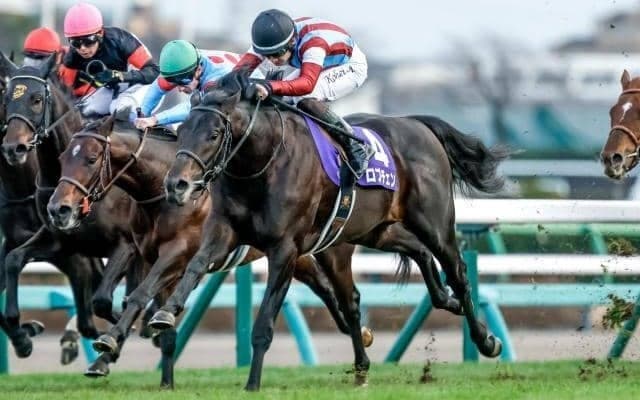 【皐月賞・馬体重】ロブチェンは520kg(+2)、グリーンエナジーは490kg(±0)