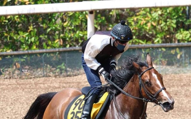 【福島牝馬Ｓ】１番人気パラディレーヌは８着　またもタイトル獲得ならず丹内祐次騎手は「いつもの感じがなかった」とガックリ