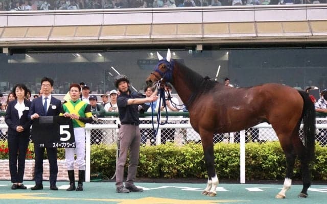 【阪神１１Ｒ・立雲峡Ｓ】名牝スイープトウショウの最後の子　スイープアワーズが直線一気　国分優作騎手「素晴らしい脚」