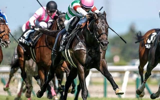 JRAでは3重賞 香港チャンピオンズデーに日本馬6頭出走/今週の競馬界の見どころ