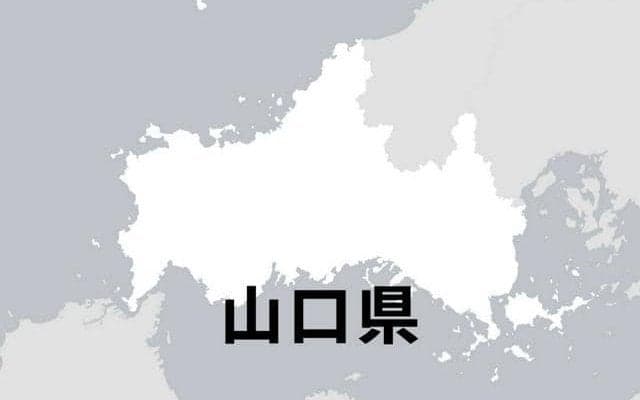 柳井が優勝、中国大会出場へ　野田学園を3-1で破る　高校軟式野球