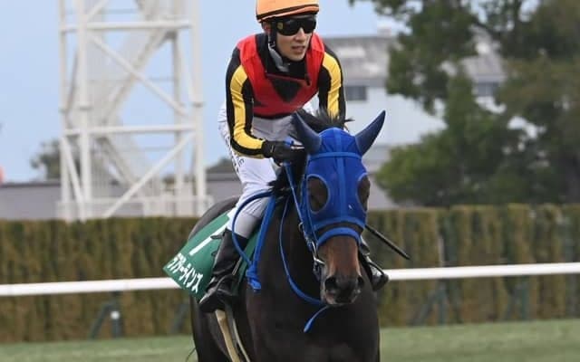 【フローラS見どころ】牡馬相手に健闘してきたラフターラインズが2勝目を挙げる