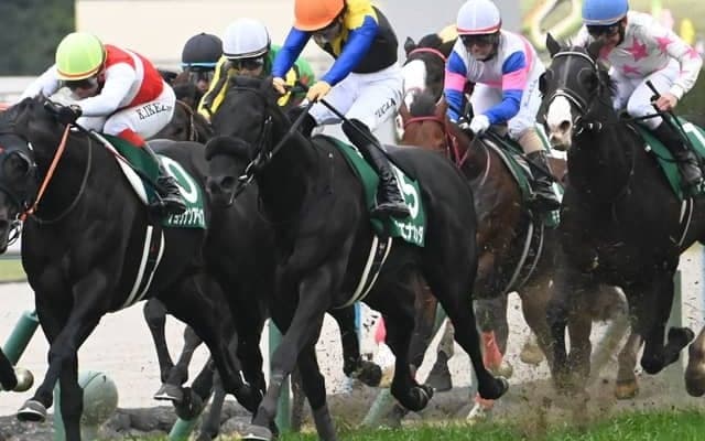 【マイラーズC見どころ】京都コースの実績が抜群のブエナオンダに注目