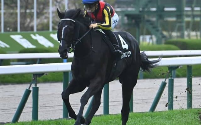 【青葉賞見どころ】日本ダービーに向かって視界良好のレースを見せるブラックオリンピア
