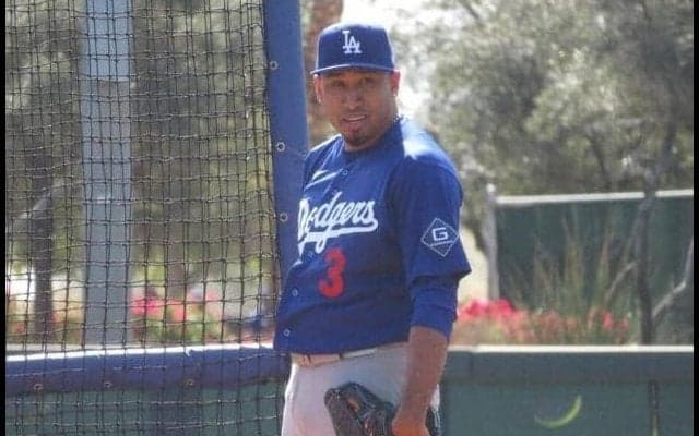 ドジャース激震　守護神ディアスが負傷者リスト入り　球団発表「右肘関節“ねずみ”」　除去手術なら長期離脱必至　前日に球速低下乱調３失点　防御率１０・５０