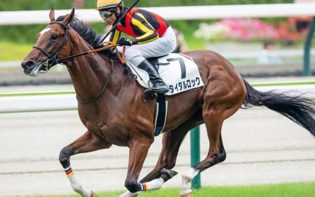 【青葉賞】叔父はGI・3勝のクロワデュノール タイダルロックが重賞初制覇狙う