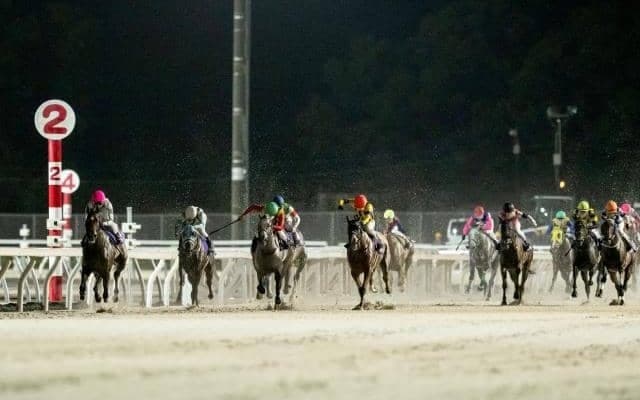 【門別・エトワール賞結果】スペシャルエックスが差し切って重賞7勝目を挙げる