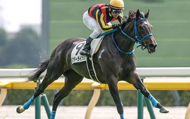 【フローラS枠順確定】ラフターラインズは4枠5番、ファムクラジューズは7枠11番