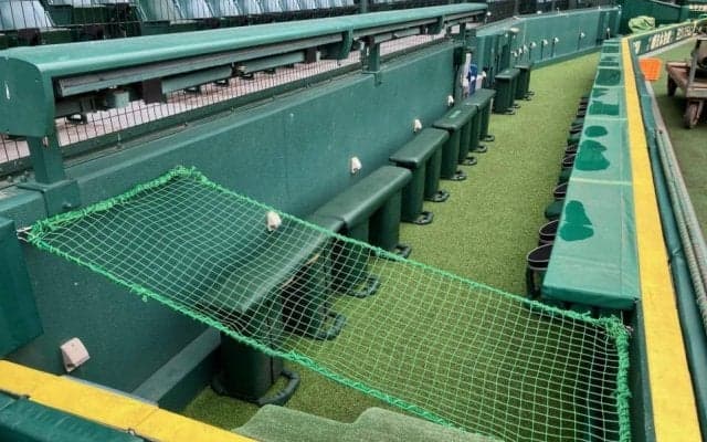 甲子園球場に転落防止のネット設置　１８日に中日・福永が頭から転落で「暫定的な処置として取り急ぎ。いい案を検討していく」迅速に安全対策に着手