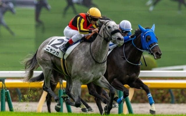 【東京4R】断然人気シニャンガが危なげなく初勝利…単勝1.5倍の支持に応える