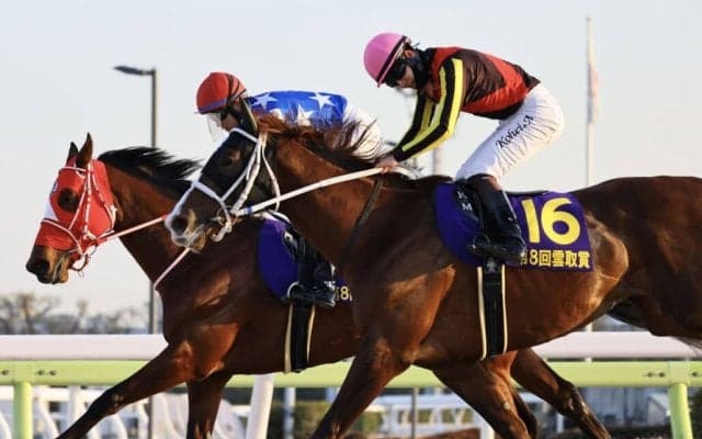 【羽田盃】トリグラフヒルなどJRA馬4頭