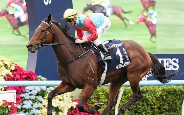 【競馬予想】香港チェアマンズスプリントプライズ、19連勝中のカーインライジングは本当に鉄板か