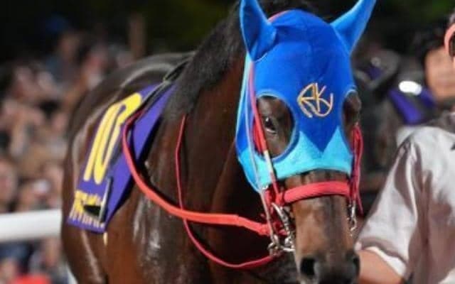 【オアシスS】25年のUAEダービー覇者のアドマイヤデイトナ 5カ月半ぶり復帰戦で勝利なるか