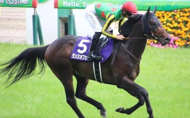 【マイラーズC予想】過去10年で1番人気が4勝、2着3回 上位人気馬に圧倒的な信頼感