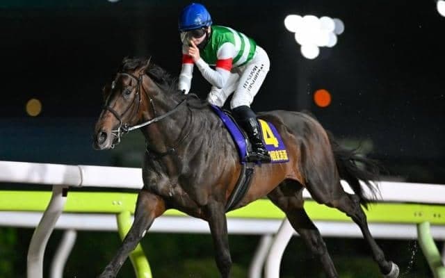 【大井・羽田盃枠順】京浜盃を制したロックターミガンは8枠13番、雲取賞覇者のリアライズグリントは2枠2番