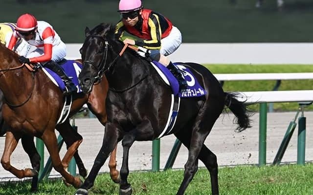 春の長距離王決定戦・天皇賞(春) 米国ではケンタッキーダービー/今週の競馬界の見どころ