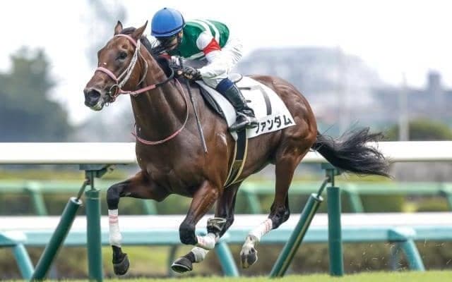 【京王杯SC見どころ】前走が不完全燃焼だったファンダムが巻き返す