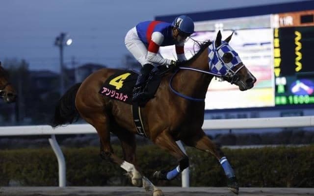 【大井・東京プリンセス賞枠順】6連勝中のアンジュルナは6枠7番