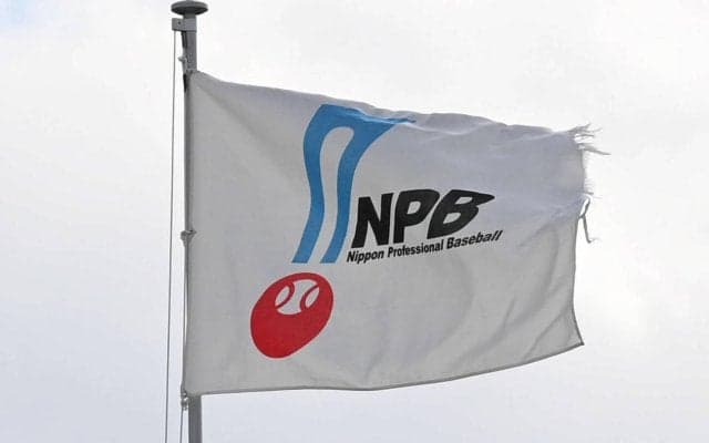 プロ野球セカンドキャリア調査「引退後にやってみたい仕事」１位は経営者、２位は海外で現役続行