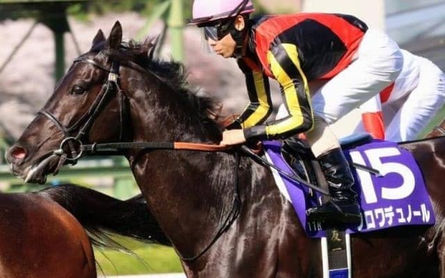 【天皇賞(春)】クロワデュノールが史上2頭目の偉業に挑戦 大阪杯からの連勝なるか