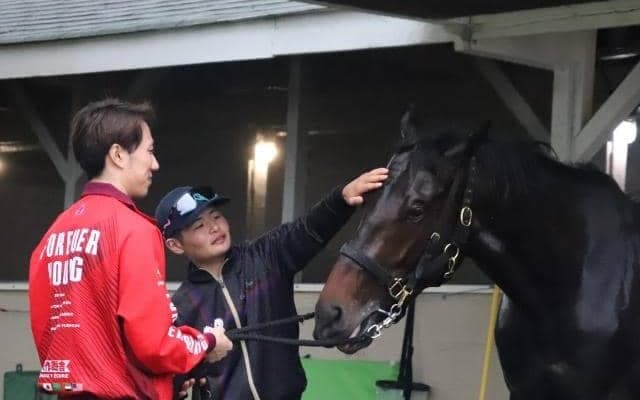 米国遠征の日本馬3頭 現地で無事に最終調整を終える 
