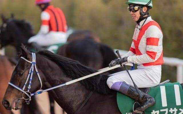 武豊騎手が京王杯SCの26年ぶり4勝目へ 末脚自慢のヤブサメで一発狙う