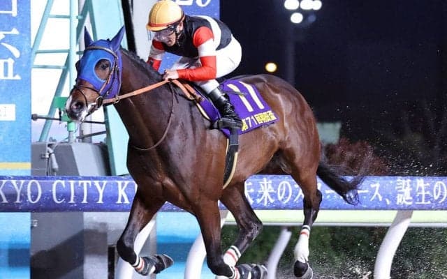 【羽田盃】早くも２冠制覇へ手応えのフィンガー　田中博康調教師「東京ダービーの方が向いている」