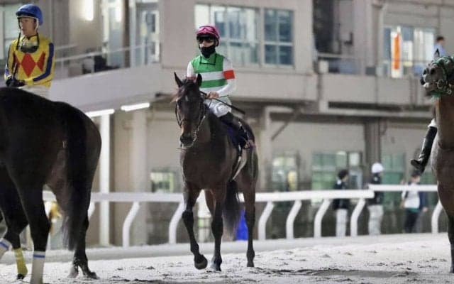【羽田盃】西村淳「厳しい競馬でした」断然人気ロックターミガンは2着