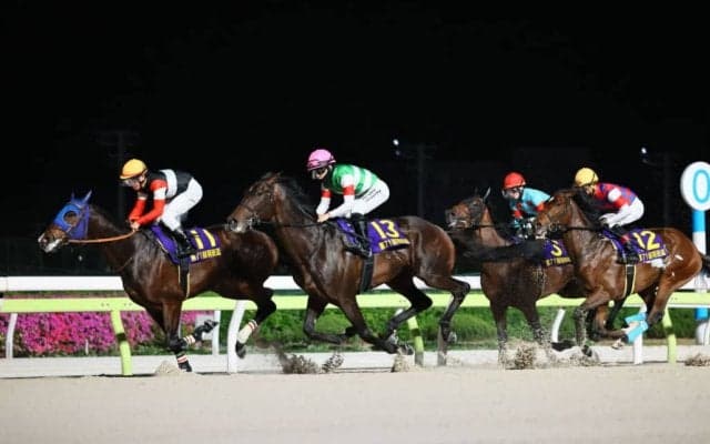 【羽田盃】断然人気ロックターミガン敗れる…レース後ジョッキーコメント