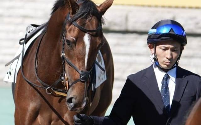 セレクト3.2億円のヘイジュード 未勝利からの格上挑戦で優駿切符獲得なるか