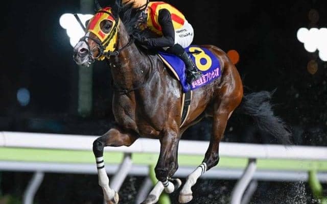 【大井・東京プリンセス賞結果】ヘスペリスが差し切って僅か4戦目での戴冠 アンジュルナは2着
