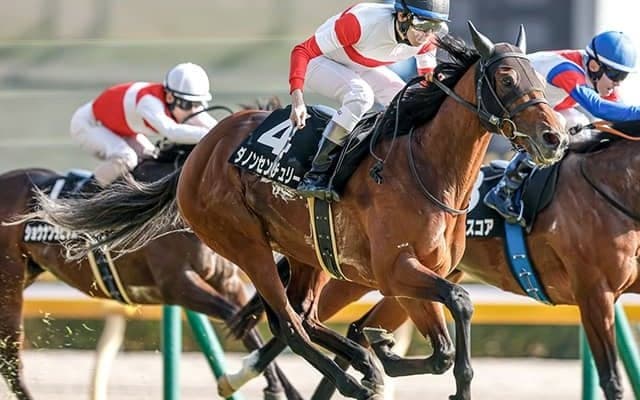 【京王杯SC枠順確定】ダノンセンチュリーは1枠2番、ファンダムは7枠13番