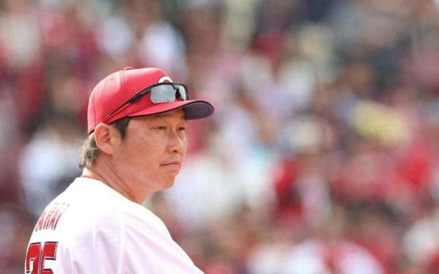 広島・新井監督「打ち取った当たりだったけど、太陽が（目に）入ったら消えているからね」　新人・平川が打球を見失い二塁打に