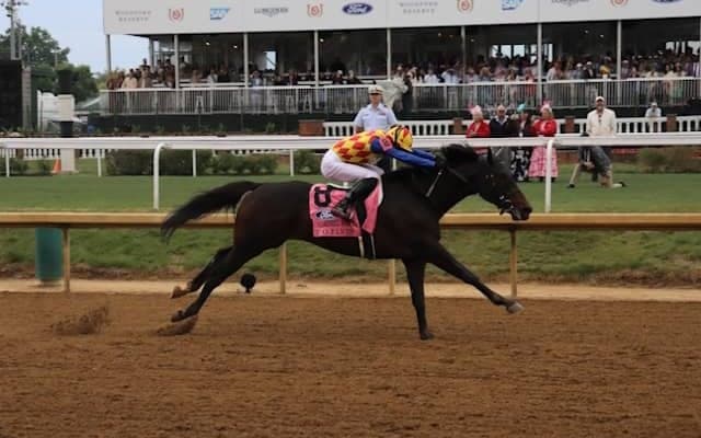 【チャーチルダウンズS結果】テーオーエルビスが圧勝！ 日本調教馬初の米短距離G1制覇！