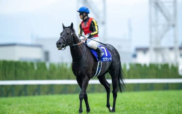 【天皇賞・春】ゴール前は大接戦！クロワデュノールがハナ差凌ぎG1・4勝目